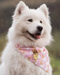 Sweet Tooth Pink Dog Bandana, perfect for Pugs, French Bulldogs, and Mini Schnauzers, adding charm to any casual walk.