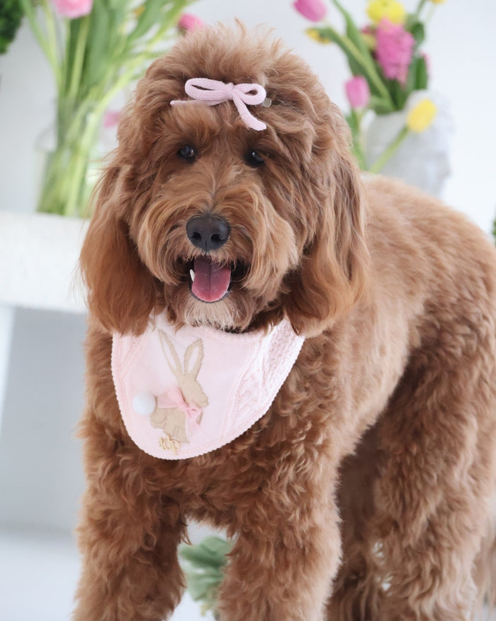 Chic blush pet bow accessory designed for cute and elegant dog fashion styling. Updated June 2026.