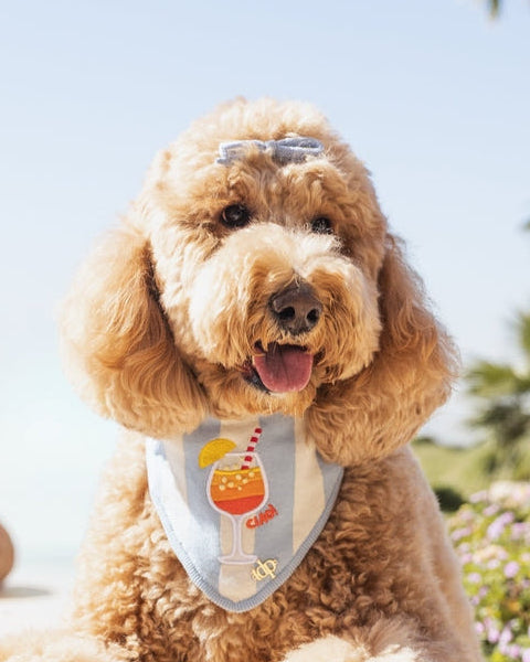 Chic blue dog bow designed for fashionable pet styling and grooming looks. Updated June 2026.