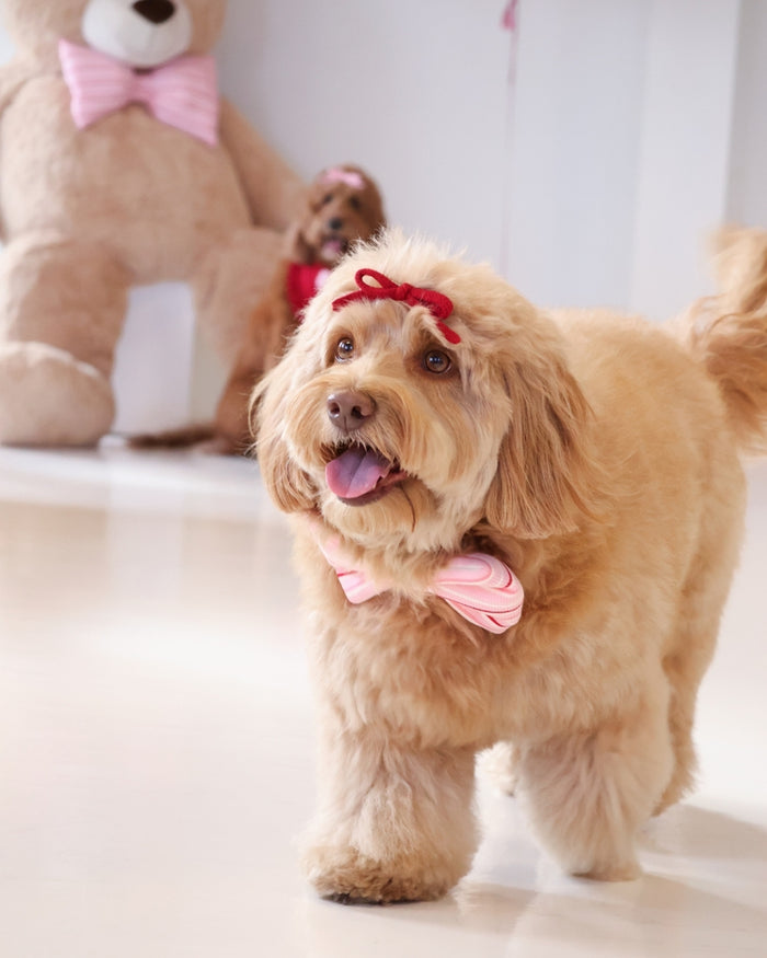 Elegant red dog bow accessory with soft fabric for fashionable pet styling. Updated May 2026.
