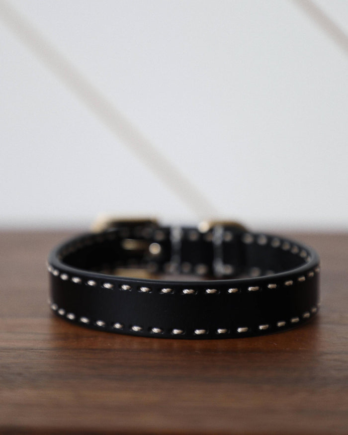 Take the Lead Black Leather Dog Collar