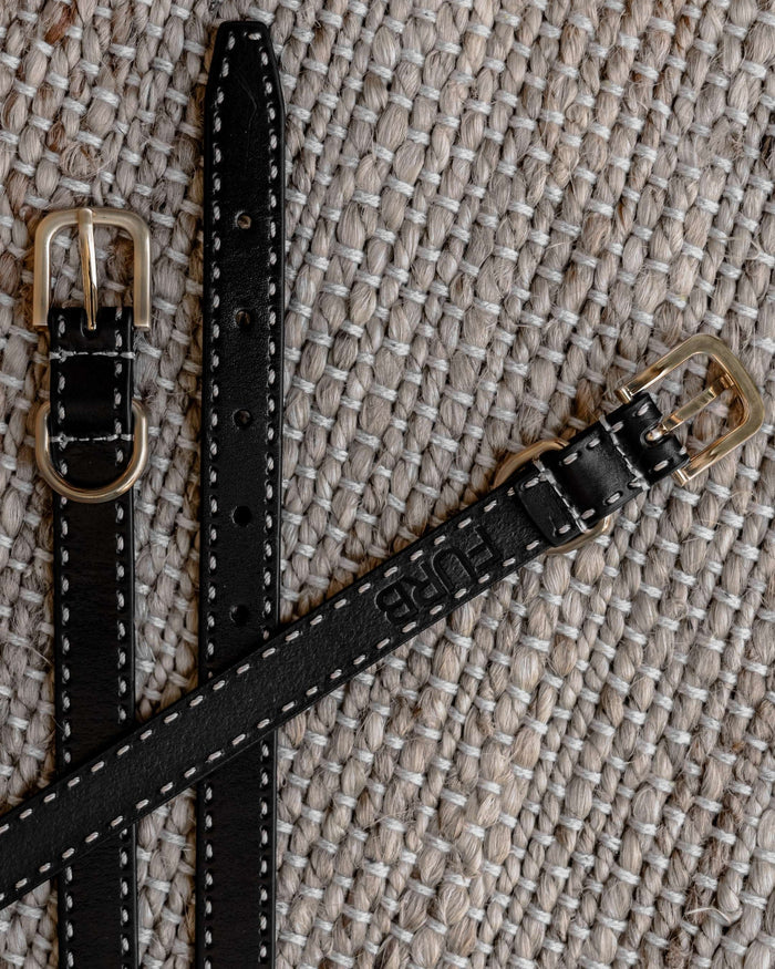 High-quality black leather dog collar and leash set, providing comfort and style for small and medium dog breeds.