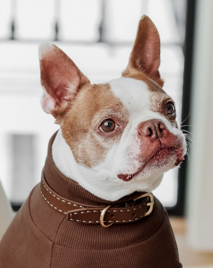 Take the Lead Tan Leather Collar Product Image Detail