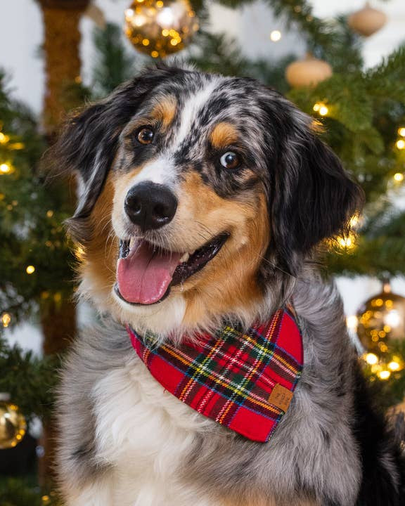 Classic red and green tartan dog bandana offering holiday style with comfort, perfect for shih tzus, beagles, and mixed breed companions