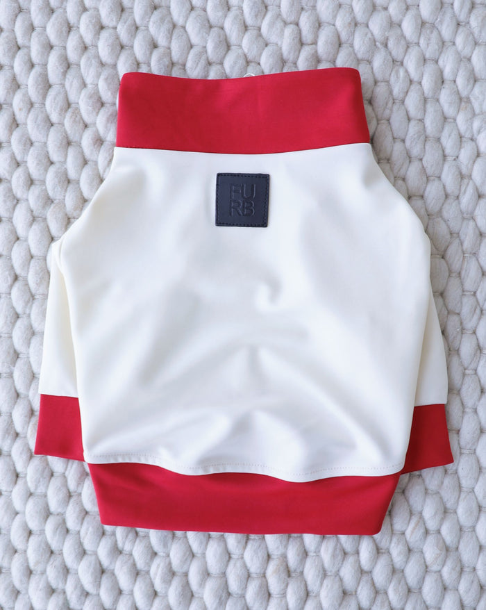 Sporty dog track jacket with a clean color-block design, lightweight and versatile, loved by dachshunds, cavapoos, and shih tzus