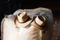 The 'Gundy' Wool felt toddler hat.