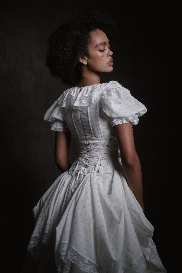 The Heartland Hourglass Waist Corset