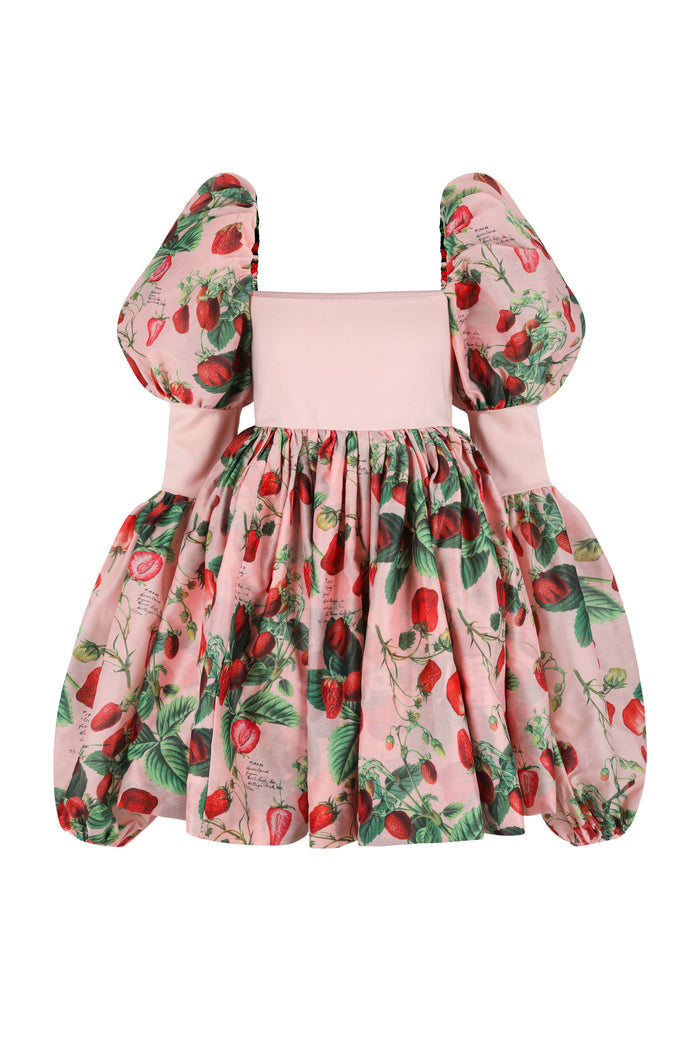 The Strawberry Wine Barre Dress
