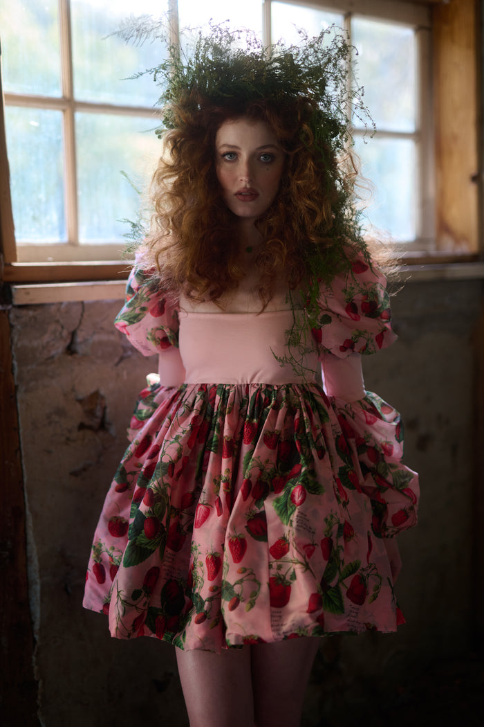 The Strawberry Wine Barre Dress