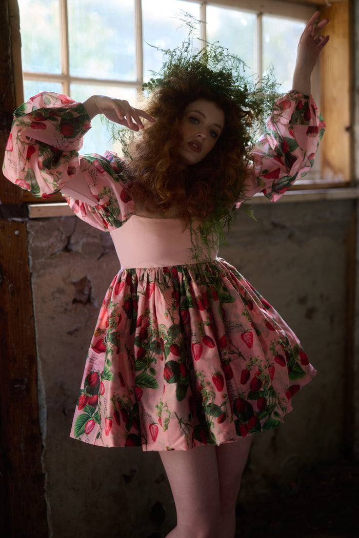 The Strawberry Wine Barre Dress