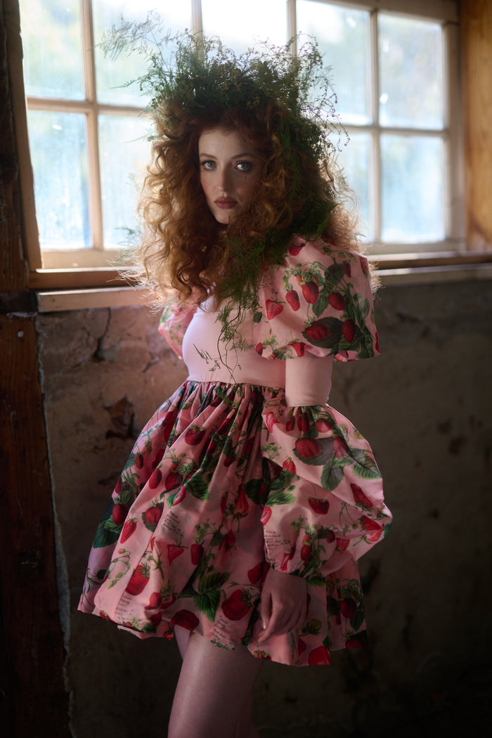 The Strawberry Wine Barre Dress