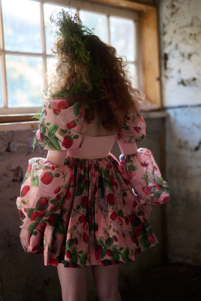 The Strawberry Wine Barre Dress