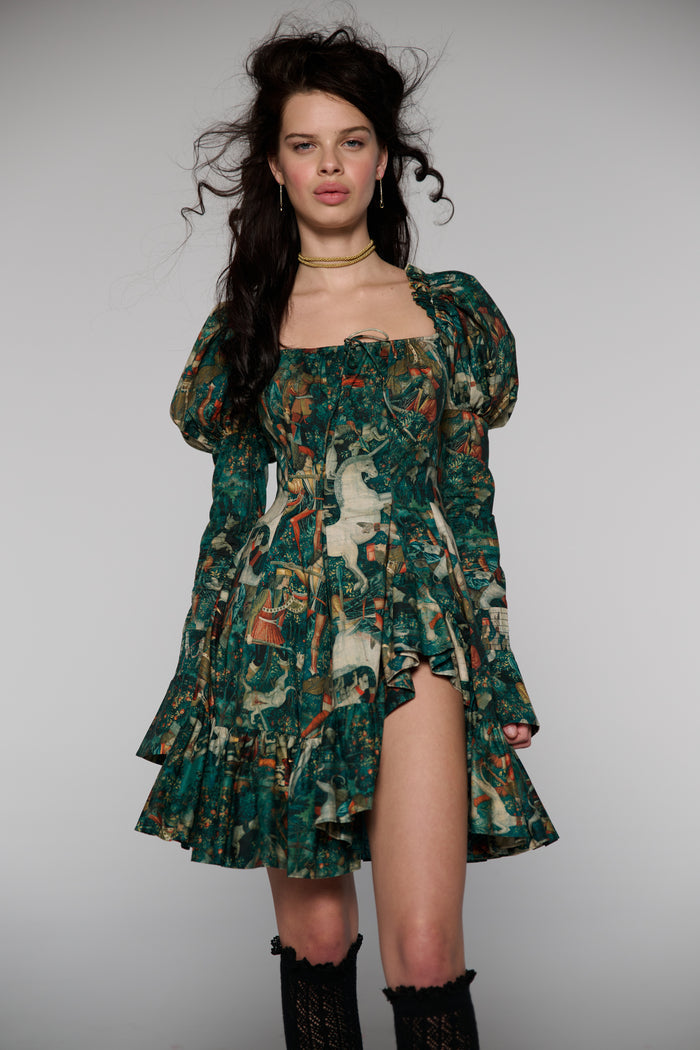 The Unicorn Defends Himself Astronomers Mini Dress