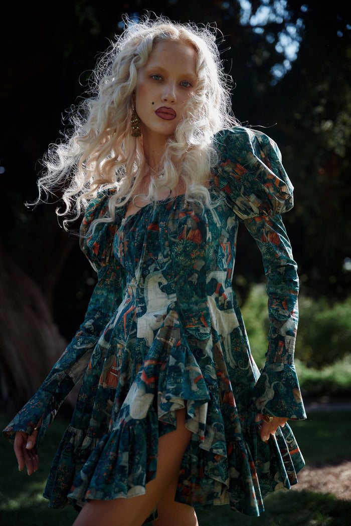 The Unicorn Defends Himself Astronomers Mini Dress