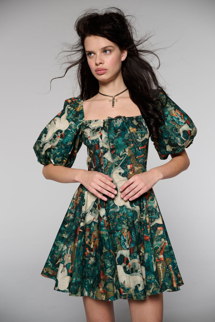 The Unicorn Defends Himself Mini Day Dress