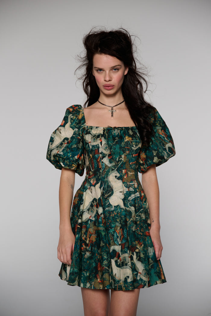The Unicorn Defends Himself Mini Day Dress