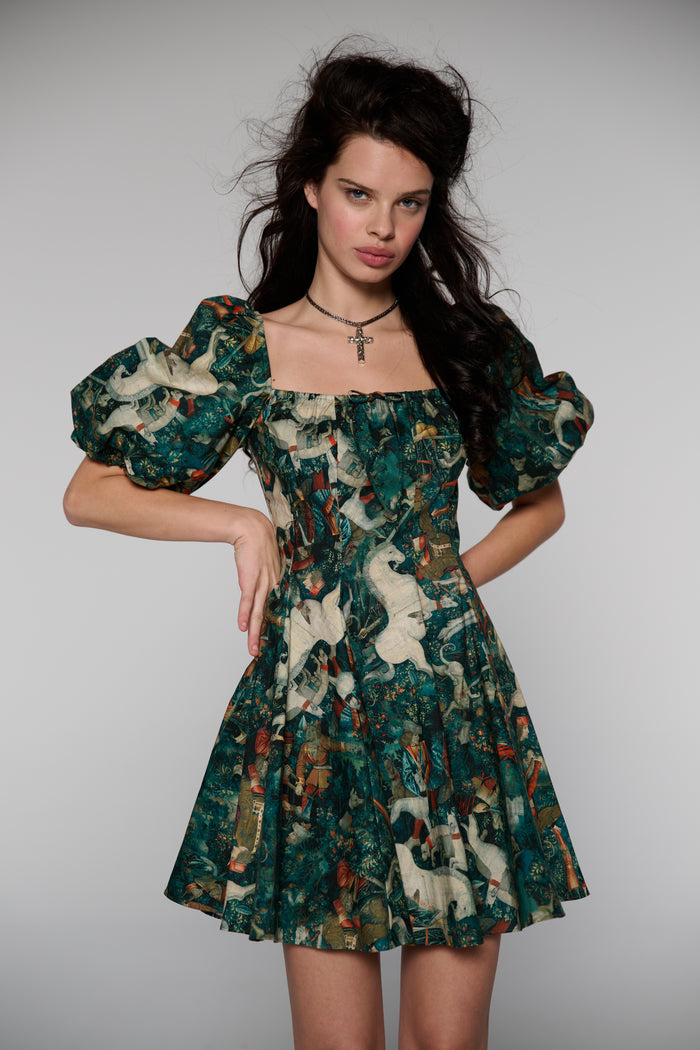 The Unicorn Defends Himself Mini Day Dress