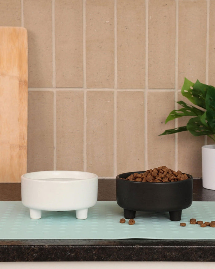 Stylish Black Ceramic Dog Bowl elevated for easy access, perfect for French Bulldogs or similar small-to-medium breeds.