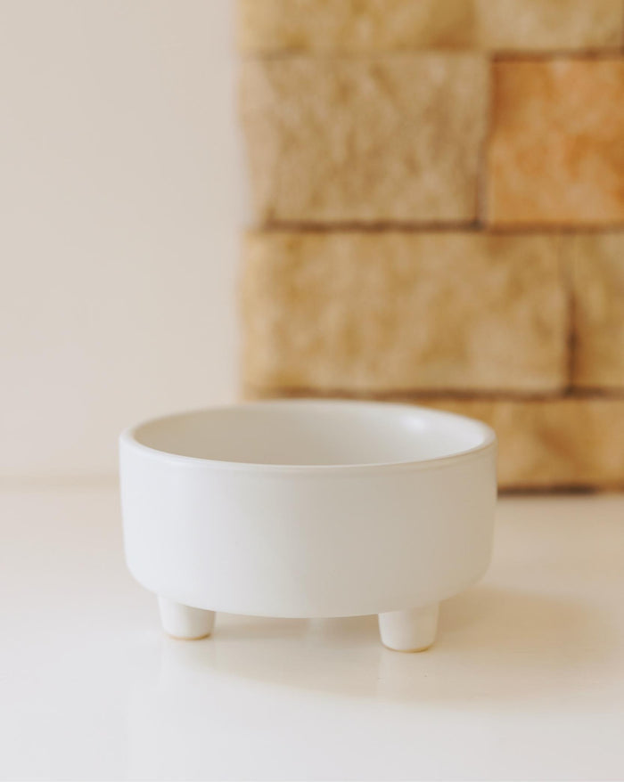 Chic white dog bowl with an elevated profile, combining form and function, perfect for French bulldogs, pugs, and cavaliers