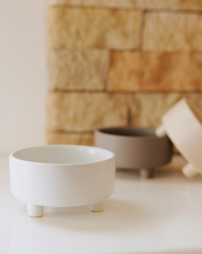 Minimalist elevated pet bowl that blends seamlessly into modern homes, perfect for daily use, great for poodles, shih tzus, and Frenchies