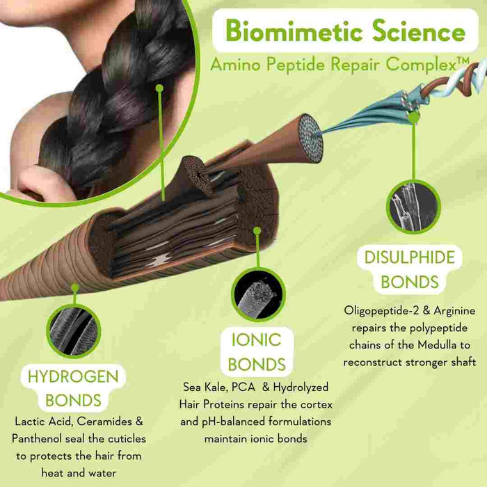 describing the biomimetic science behind peptide serum