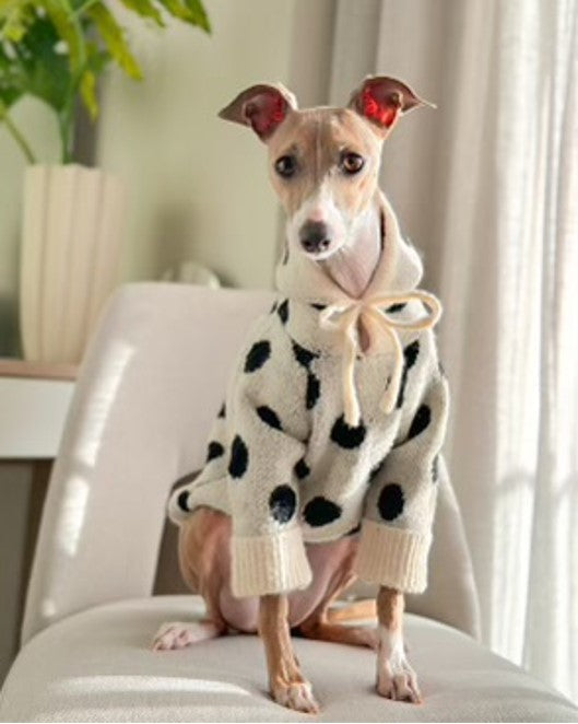Ivory + Black Polka Dot Dog Hoodie. Cute hoodie for Maltese