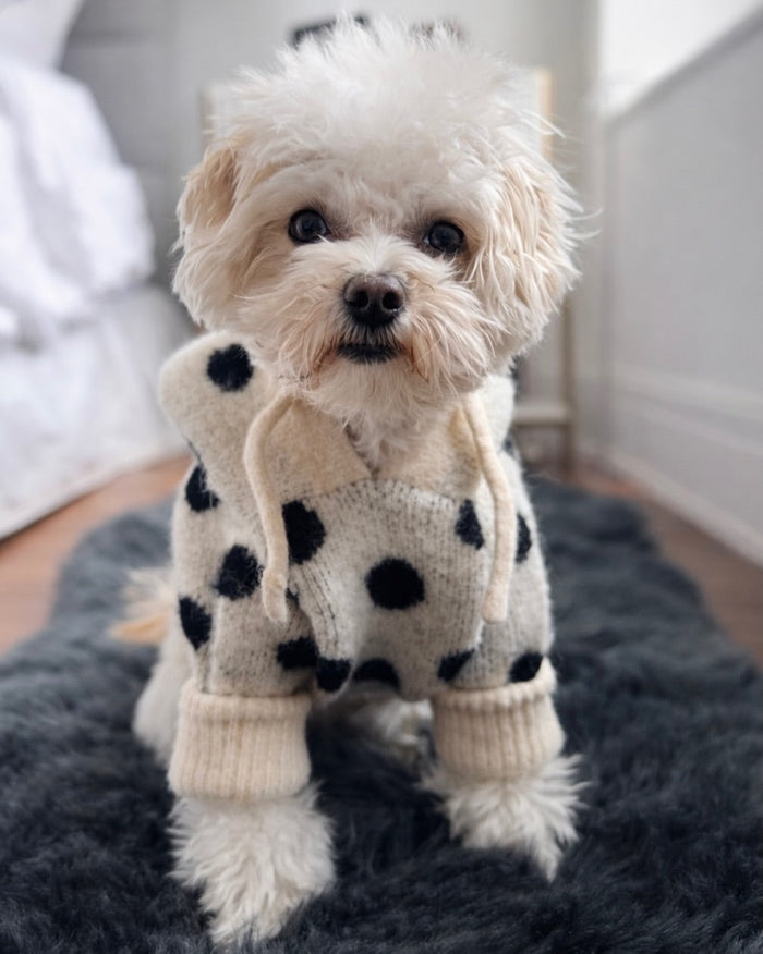 Modern ivory and black polka dot dog hoodie with soft knit feel and comfortable stretch for small to medium breed dogs