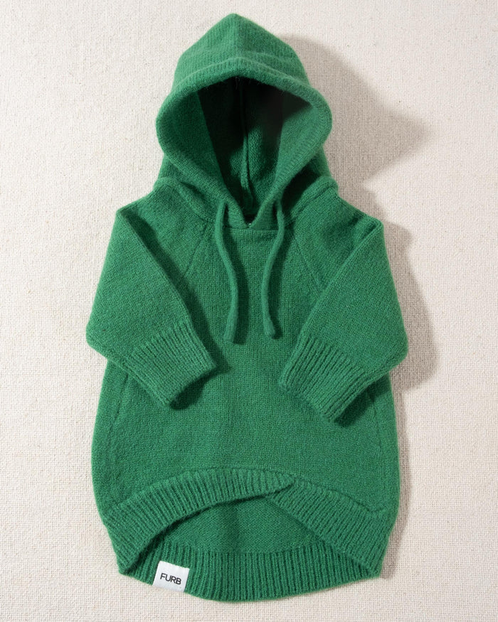 Venice Green Dog Hoodie cute corgi outfits