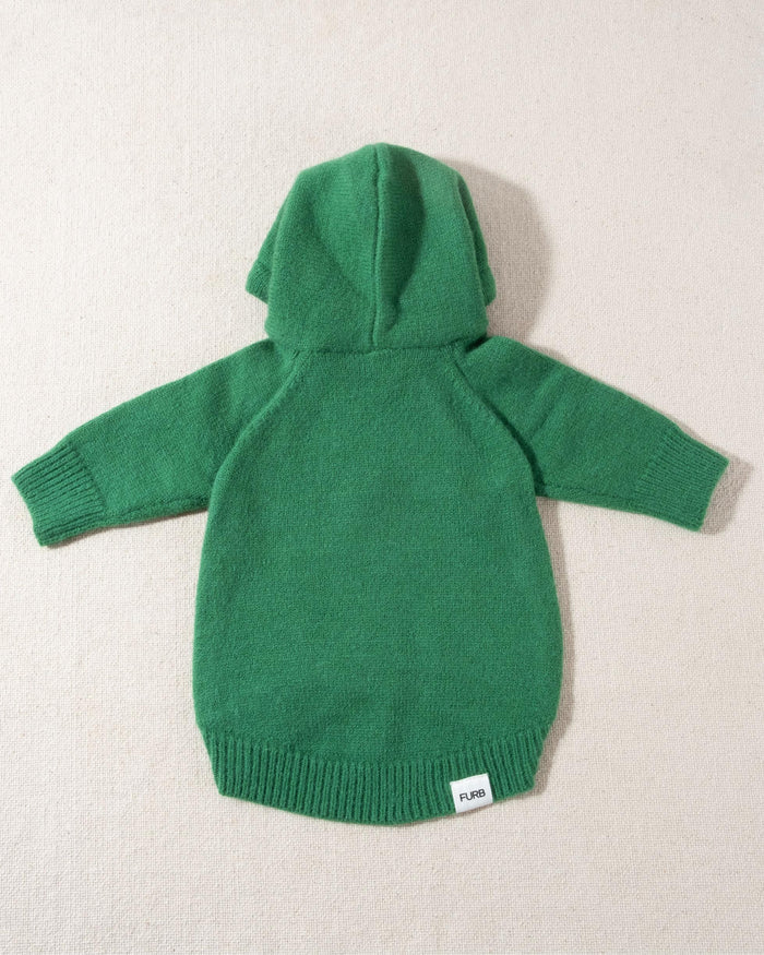 Venice Green Dog Hoodie cute french bulldog outfits