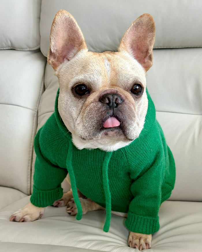 Venice Green Dog Hoodie cute frenchie clothes