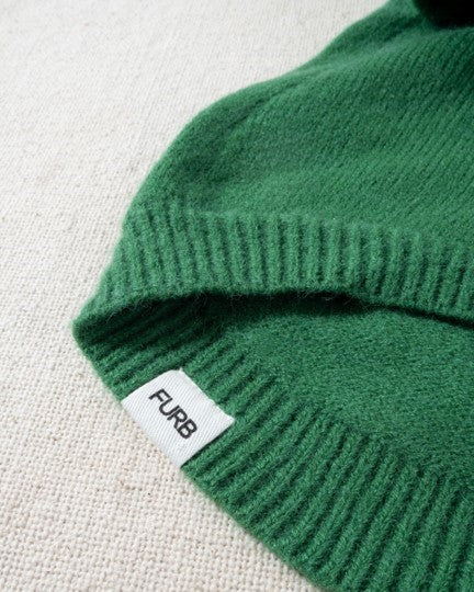 Venice Green Dog Hoodie cute outfits for pugs