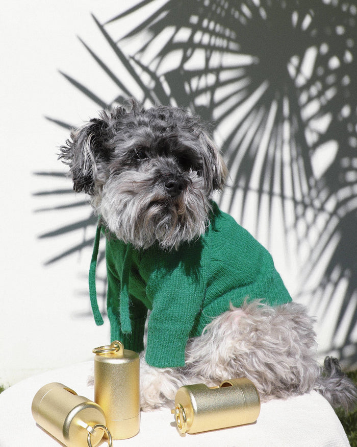 Venice Green Dog Hoodie cute pug clothes