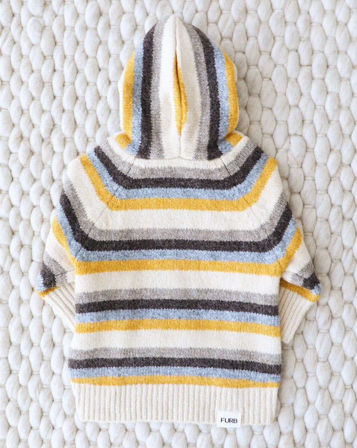 Soft knit dog sweater with stripe and colorblock detailing, ideal for everyday layering, loved by dachshunds and cavapoos