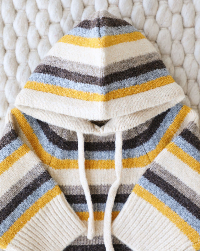 Modern striped colorblock dog knit offering warmth and style, perfect for casual outings, suited for shih tzus and Frenchies