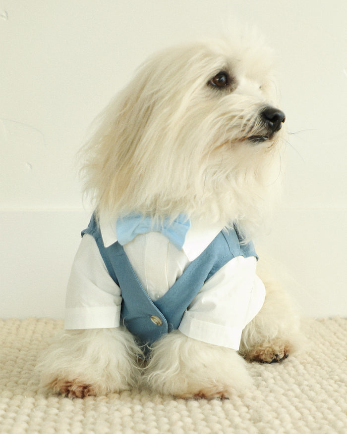 blue wedding dog suit side view formal dog apparel