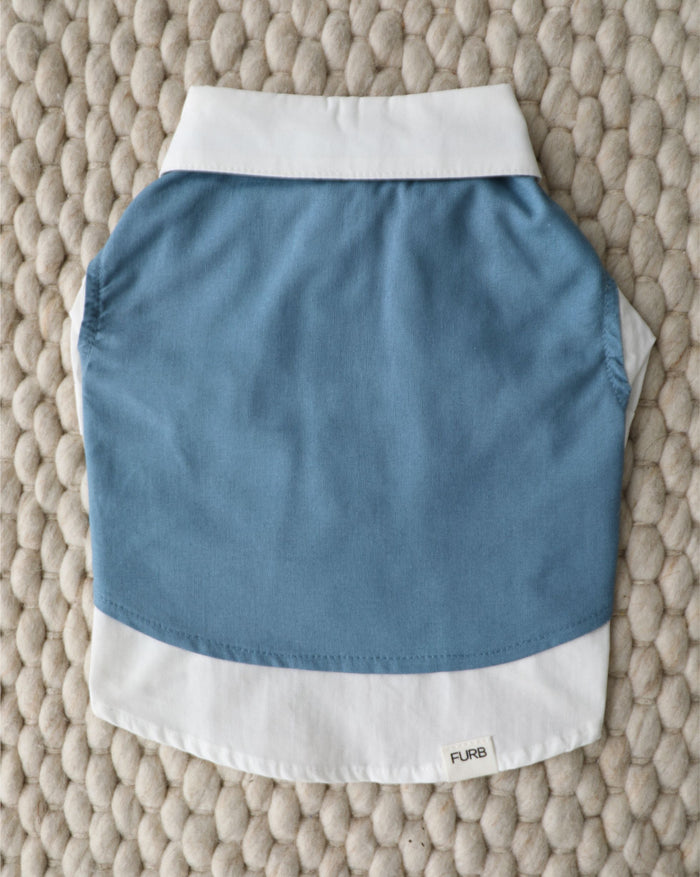 Formal blue dog wedding outfit with layered button up design, ideal for special occasions on Cocker Spaniels, Boston Terriers, Mini Aussies, and medium dogs