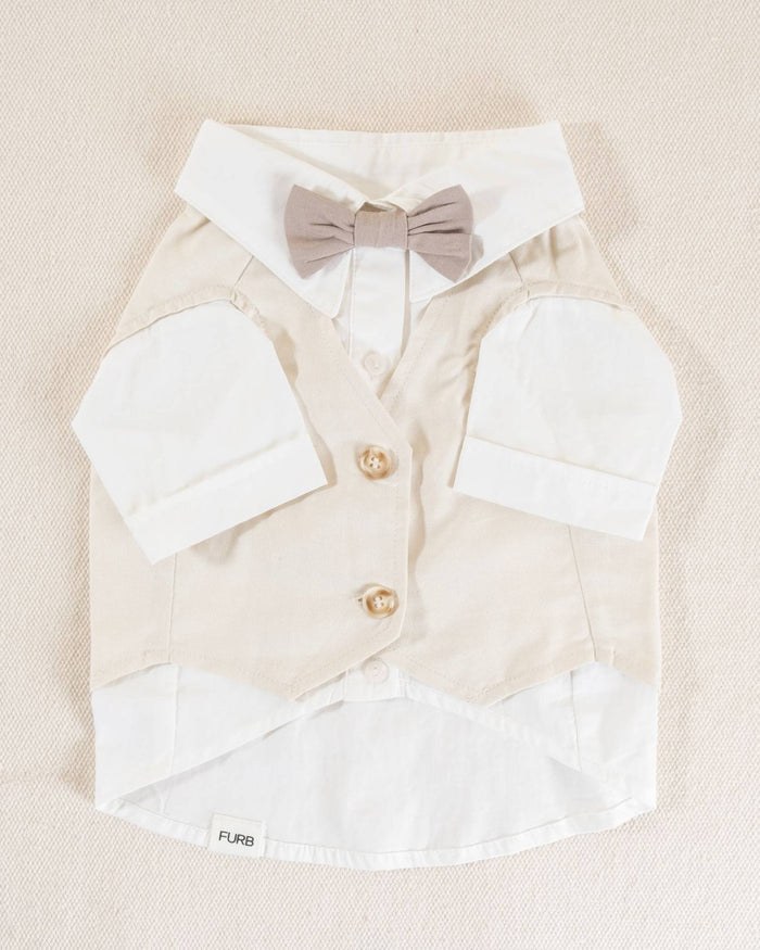 Boy dog wedding outfit close-up with button detail and stylish collar