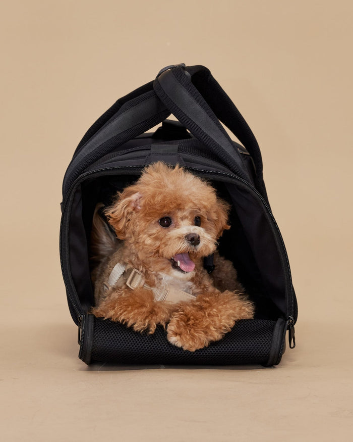 Versatile dog travel carrier with a minimalist black design, great for errands and flights, ideal for pugs, shih tzus, and Frenchies