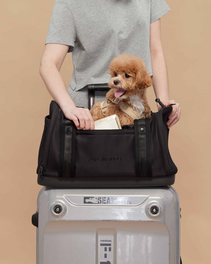 Durable dog carrier designed for smooth travel experiences, combining function and comfort, ideal for pugs, dachshunds, and cockapoos