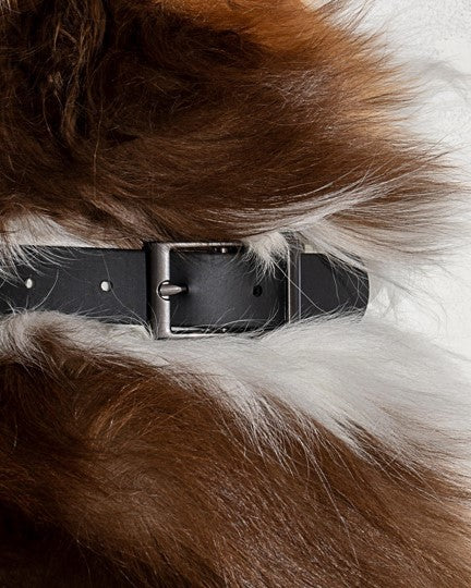 Wild One Black Collar Product Image Detail