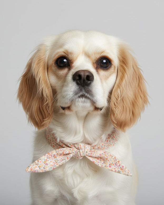 elegant ivory dog necktie with delicate floral print, lightweight accessory for dressing up pets effortlessly