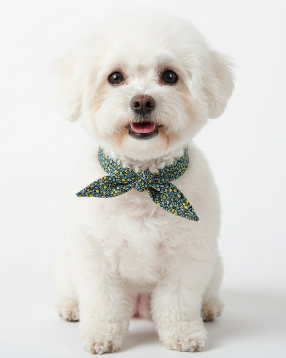 stylish floral dog necktie in navy, soft cotton pet accessory for dressing up dogs for photos or outings