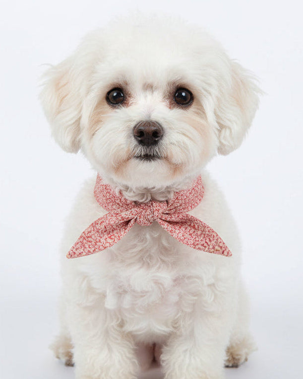 floral dog necktie close up tie style dog bandana alternative cotton pet outfit