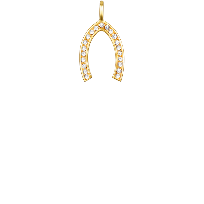 Wishbone Charm
