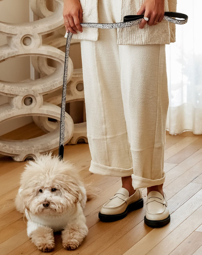 Close-up of pony hair dog leash and tan leather collar set, showing detailed texture and stylish durable design for daily dog walks