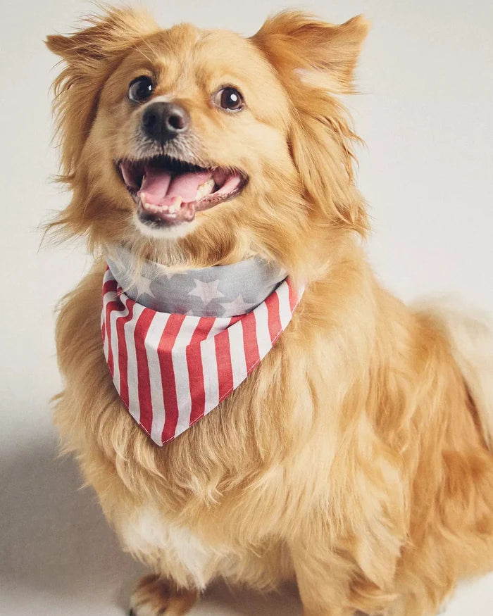Yankee Poodle American Flag Reversible Bandana
