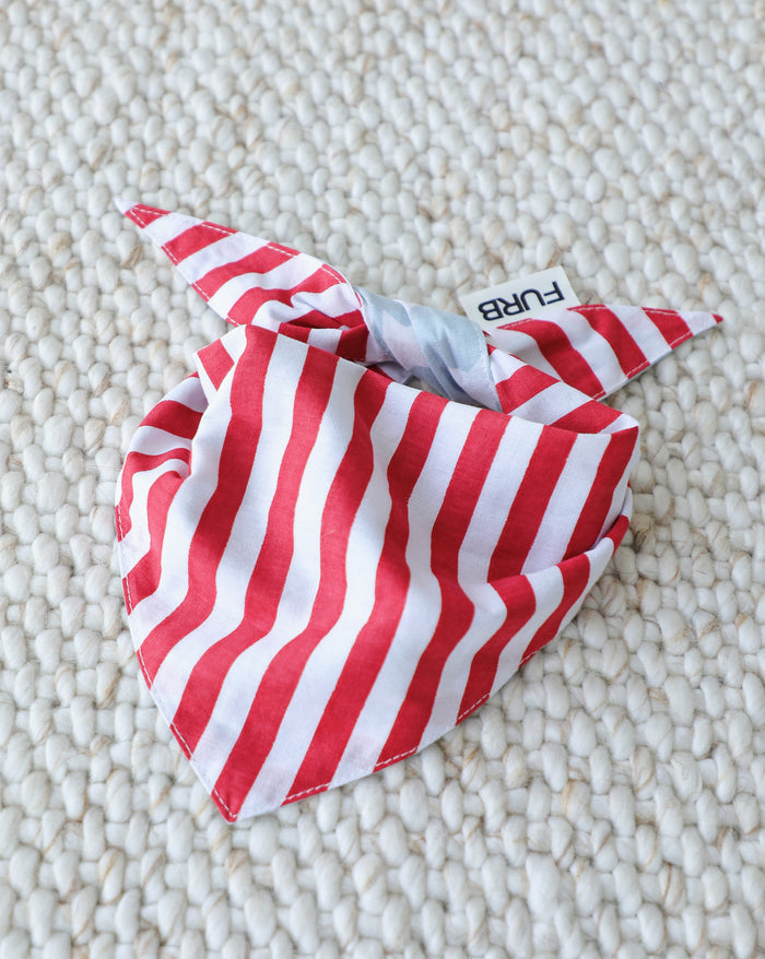 reversible stars and stripes dog bandana styled on dog, close-up summer pet fashion accessory