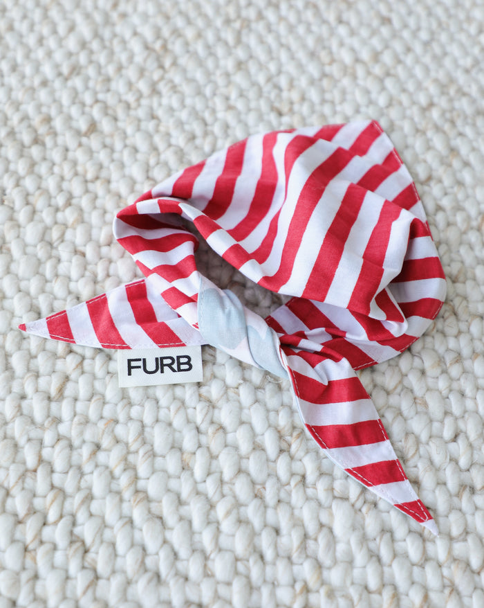 reversible patriotic dog bandana lifestyle shot, summer outdoor styling, red white blue pet accessory