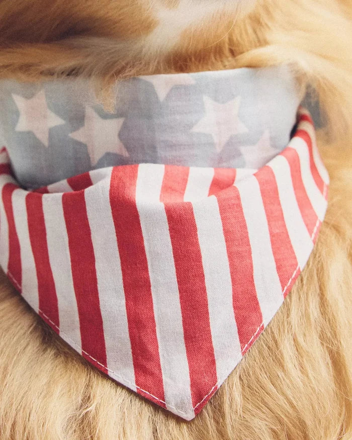 Yankee Poodle American Flag Reversible Bandana