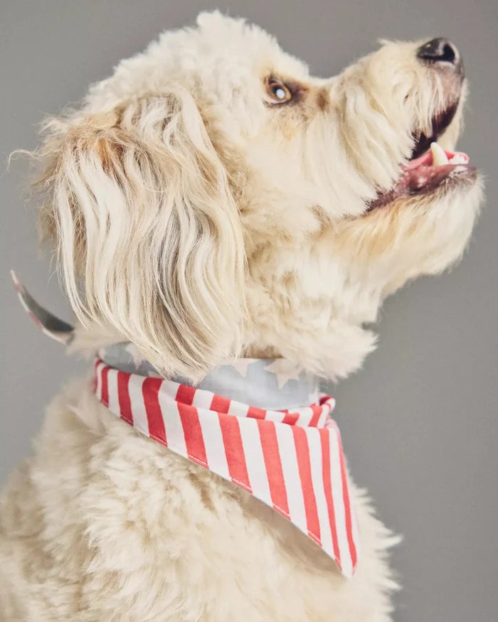 Yankee Poodle American Flag Reversible Bandana